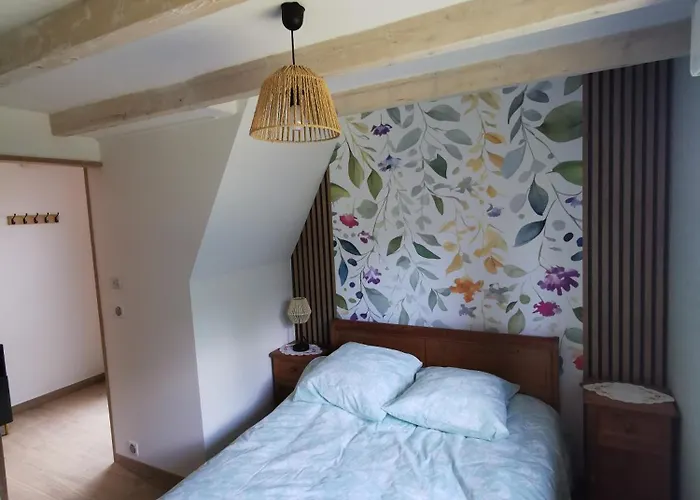 L'ancre Jaune 度假居 Moyenmoutier